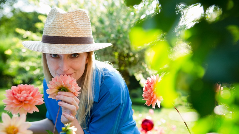 Aut magnam est error assumenda.